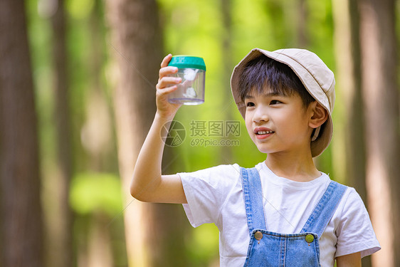 小男孩专注观察蝴蝶图片