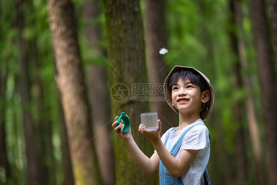 放生蝴蝶的小男孩图片