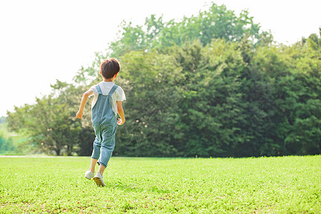 在草地上奔跑的小男孩背影图片