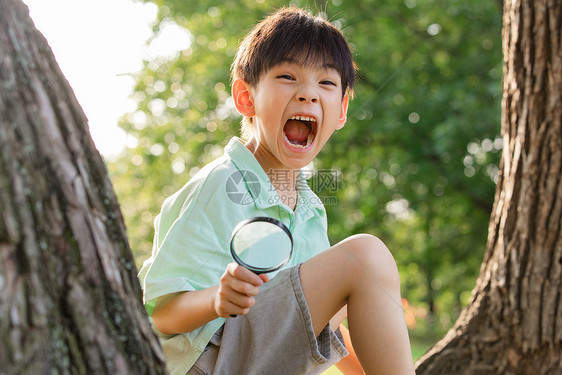 户外活泼大叫的小男孩图片