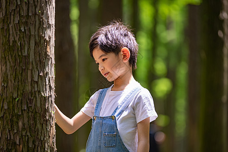 小男孩暑期课外生活体验树木图片