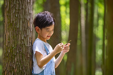 小男孩暑期课外生活体验图片