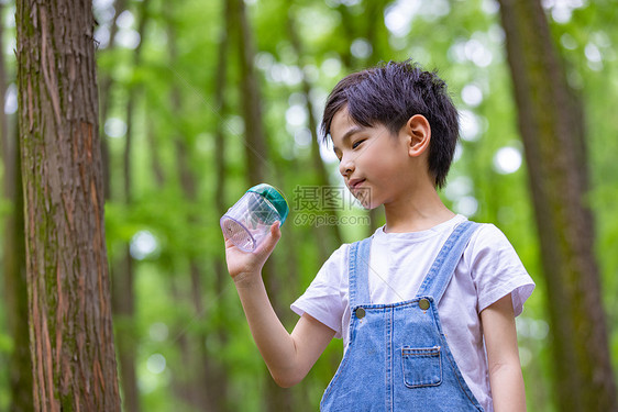 树林里小男孩观察昆虫图片