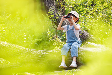 户外森林使用望远镜的小男孩背景图片