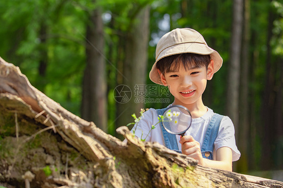 可爱小男孩户外森林观察图片
