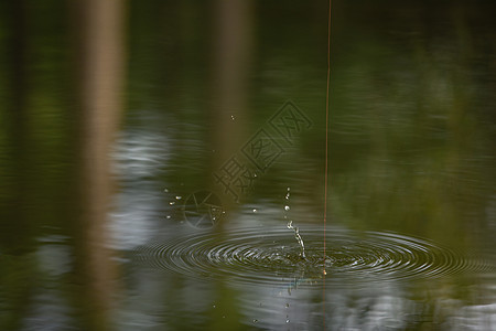 入水照片 入水背景 入水摄影图片下载 摄图网