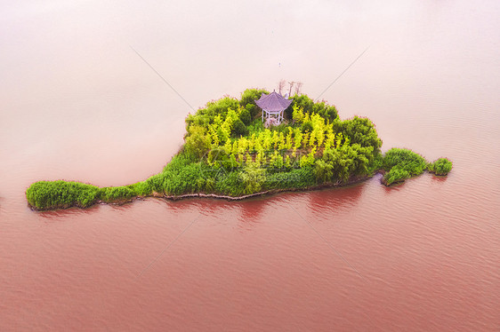 粉色湖泊4A风景区焦岗湖国家湿地公园图片