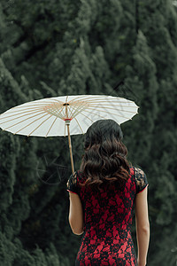 打着伞穿着旗袍的美女背影图片