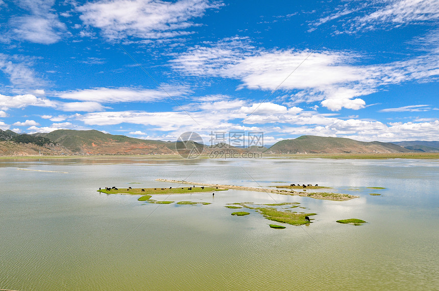 云南天然牧场湖泊图片