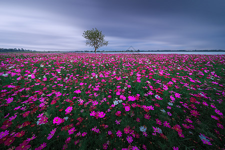 风景写意极简写意风光背景