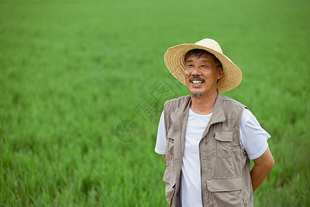 走在水稻间的农民伯伯图片