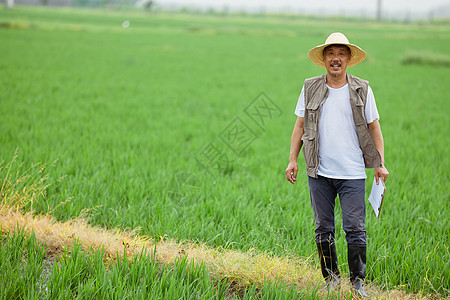站在稻田里农民形象图片
