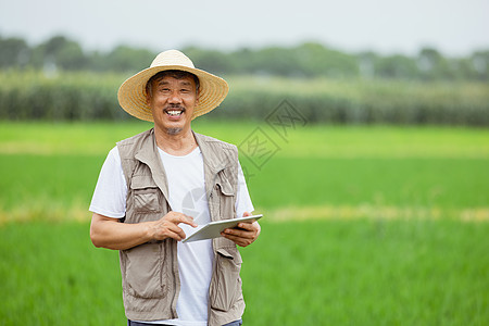 大米水稻智能化耕地的农民背景