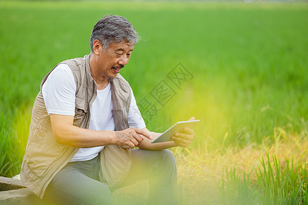 大米水稻在田边使用电脑观察水稻的农民背景