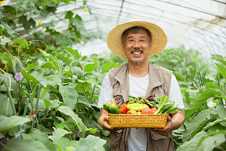 蔬菜大棚手捧蔬菜的农民大叔图片