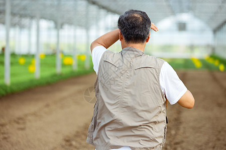 温室大棚花卉在大棚里擦汗的农民背影背景