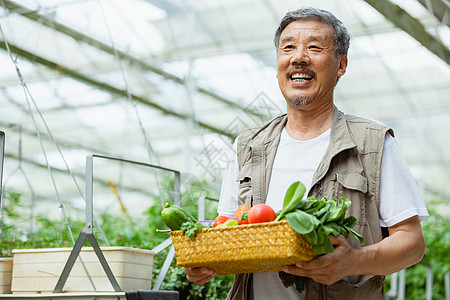 收获蔬菜的农民高清图片