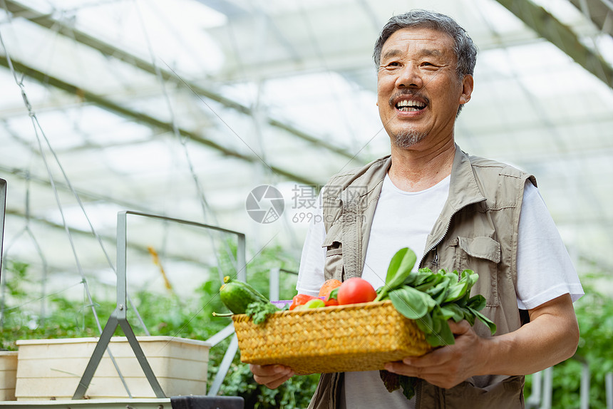 收获蔬菜的农民图片