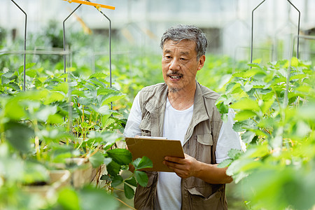 观察记录蔬菜的农民图片