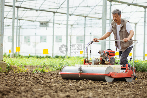 农民在大棚里使用播种机图片