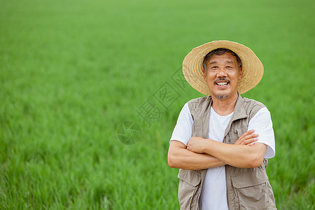 站在稻田里的农民形象图片