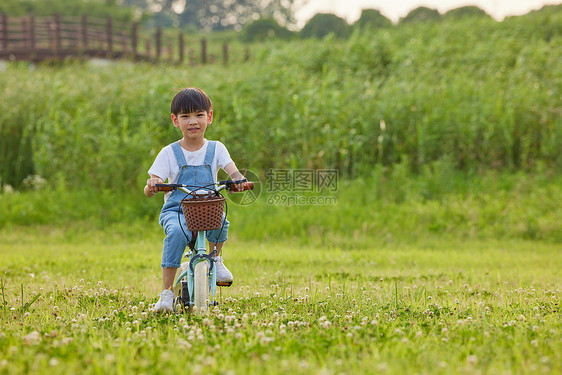 小男孩户外草坪上骑自行车图片