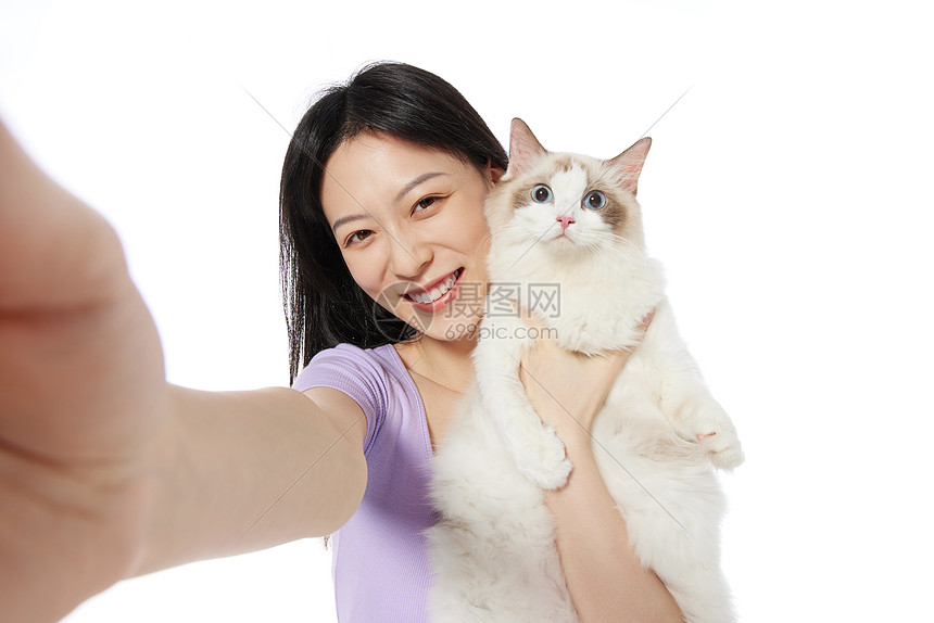 美女主人抱着布偶猫自拍图片