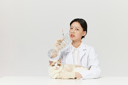 女性宠物医生给布偶猫咪扎疫苗图片