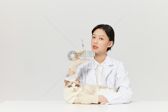 女性宠物医生给布偶猫咪扎疫苗图片