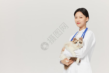 女性宠物医生抱着布偶猫咪高清图片
