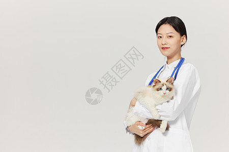 女性宠物医生抱着布偶猫咪图片