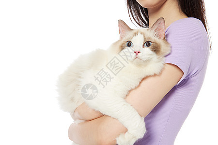 美女抱着宠物猫特写图片