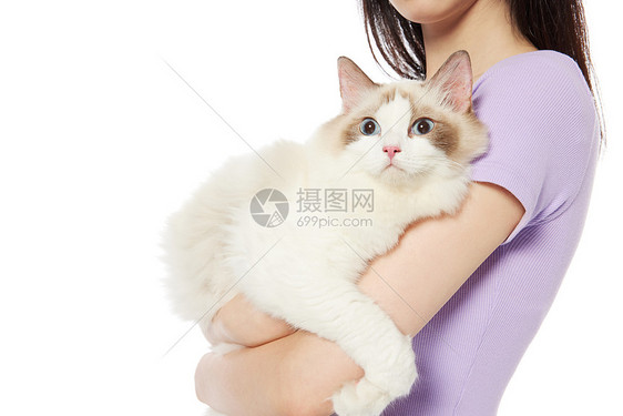 美女抱着宠物猫特写图片