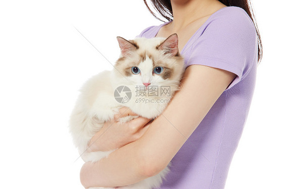 美女抱着宠物猫特写图片