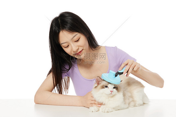 美女主人给宠物猫咪梳毛图片