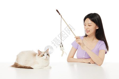 美女主人拿逗猫棒逗猫图片