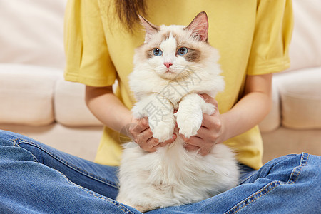 女性居家生活撸猫特写图片