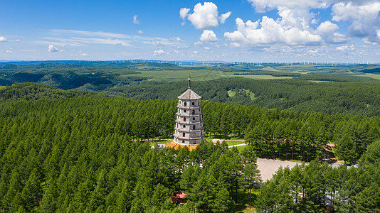 河北承德塞罕坝国家森林公园夏季风光图片素材