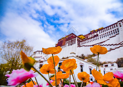 西藏布达拉宫景区图片