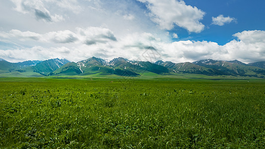 航拍白云航拍5A景区新疆那拉提一望无际的绿色草原与山脉背景