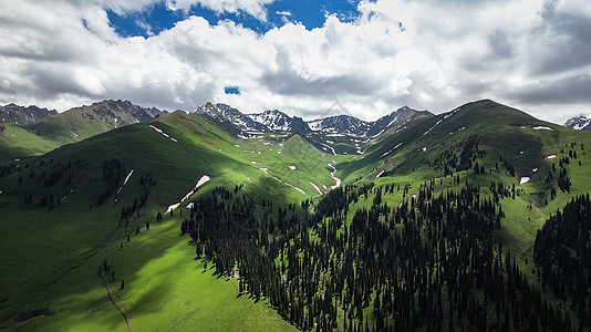 航拍草原航拍5A景区新疆那拉提空中草原景观区雪山背景