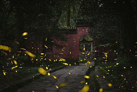 南京灵谷寺夏天夜晚的萤火虫与传统建筑图片