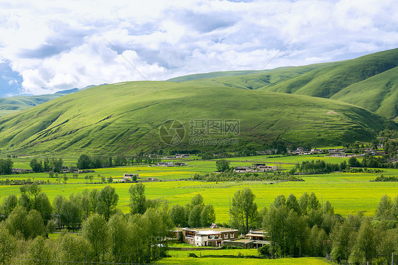 四川八美草原风光图片