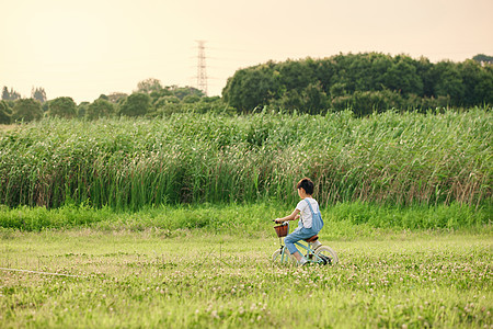 小男孩户外草地里骑自行车图片