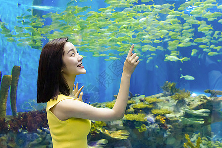 青年女性假期观光海洋水族馆图片