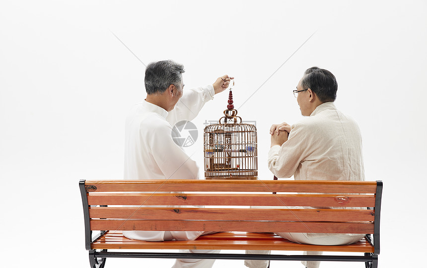 两位老年人遛鸟聊天背影