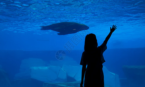 青年女性水族馆剪影图片