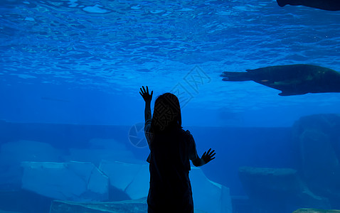 青年女性水族馆剪影图片