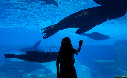 青年女性水族馆剪影图片