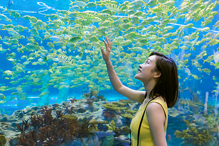 青年女性假期游玩海洋水族馆图片